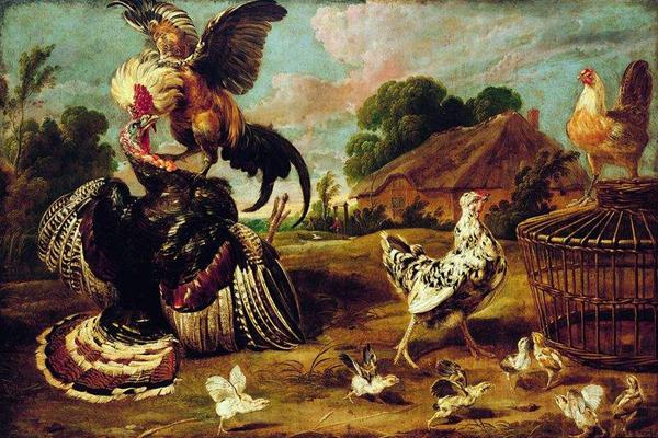 Paul de Vos The fight between a turkey and a rooster. oil painting image
